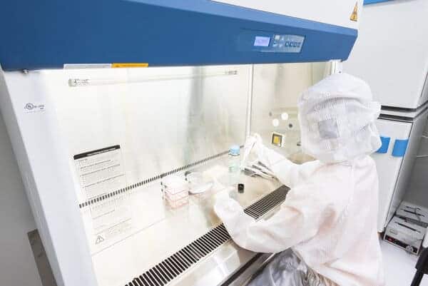 A Scientist In Sterile Coverall Gown Pipetting Medium Or Reagents For Cell Culture Experiment In Biological Safety Cabinet. Doing Biological Research In Clean Environmental. Cleanroom Facility